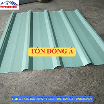 Tôn Đông Á
